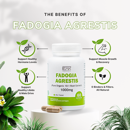 Premium Fadogia Agrestis