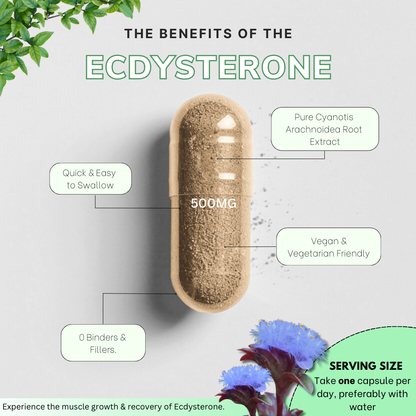 Premium Ecdysterone